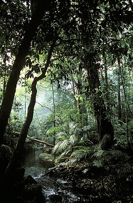 Tourism Australia (3)